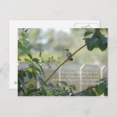 Carte postale de colibri avec citation "Petites ch (Devant / Derrière)