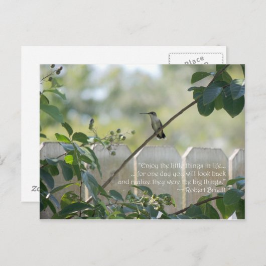 Carte postale de colibri avec citation "Petites ch (Devant / Derrière)