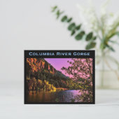 Carte postale de Columbia River Gorge (Debout devant)