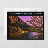 Carte postale de Columbia River Gorge (Devant / Derrière)
