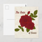 Carte postale de conception de la rose du Cantique (Devant / Derrière)
