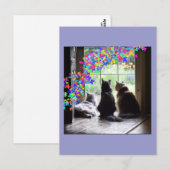 Carte postale de condoléance de chat de pont en (Devant / Derrière)