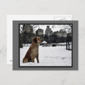 Carte postale de Conservatory Water-Central Park (Devant / Derrière)