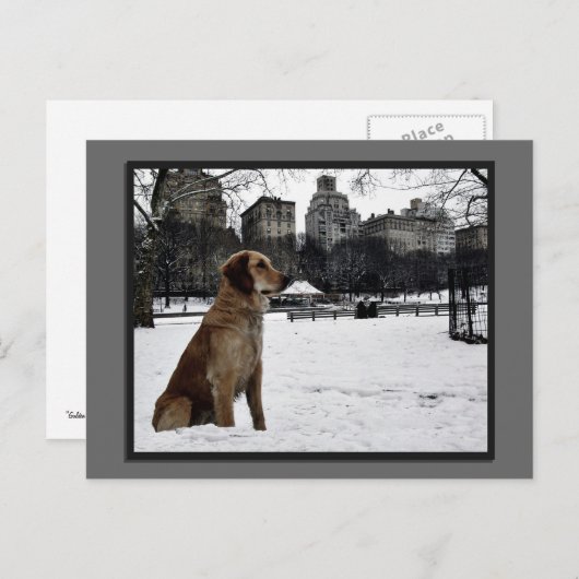 Carte postale de Conservatory Water-Central Park (Devant / Derrière)