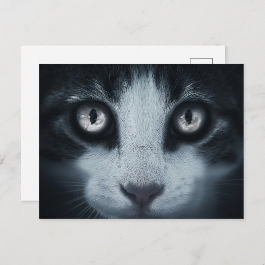 Carte postale de conversation (Devant / Derrière)