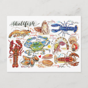 Carte postale de coquillages colorés
