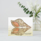 Carte postale de coquillages de Triton (Debout devant)