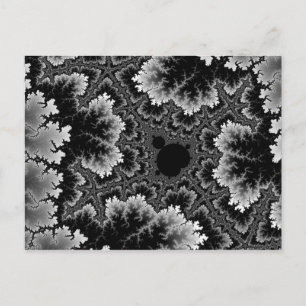 Carte postale de corail blanc