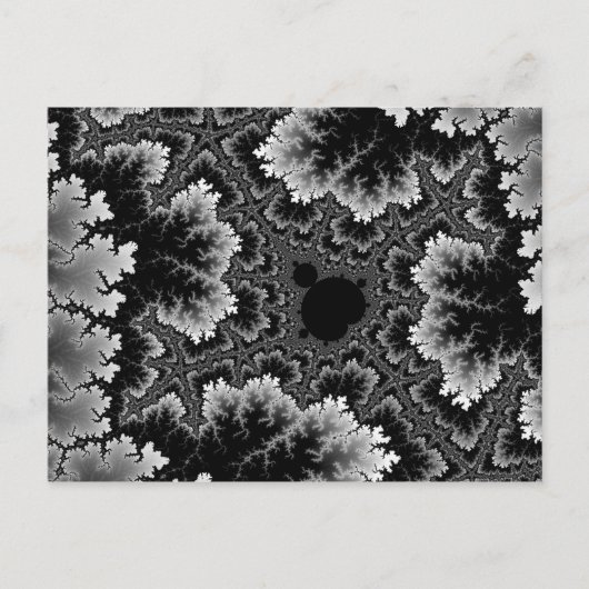 Carte postale de corail blanc (Devant)
