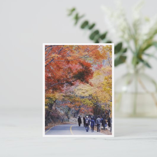 Carte postale de Corée (Debout devant)