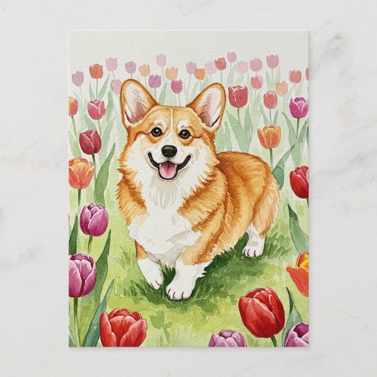 Carte postale de Corgi mignon dans les tulipes (Devant)
