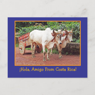 Carte postale de Costa Rica (bœufs & charrette à b