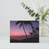 Carte postale de coucher de soleil tropical rose e (Debout devant)