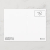 Carte postale de coucher du soleil de plage de La (Dos)