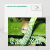 Carte postale de courrier d'escrocs (Devant / Derrière)