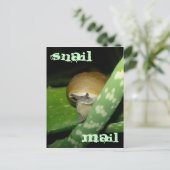 Carte postale de courrier électronique (Debout devant)