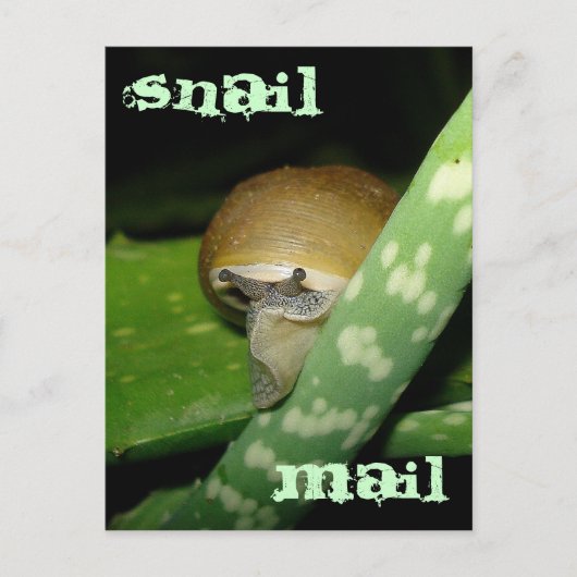 Carte postale de courrier électronique (Devant)