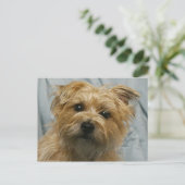 carte postale de courrier électronique (Debout devant)