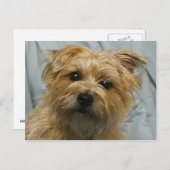 carte postale de courrier électronique (Devant / Derrière)