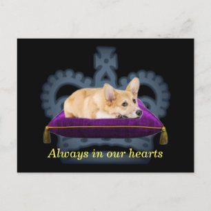 Carte postale de coussin de corgi de reine personn