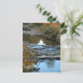 Carte postale de Cox Brook (Debout devant)