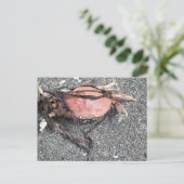 Carte postale de crabe (Debout devant)