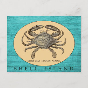 Carte postale de crabe de l'île Shell
