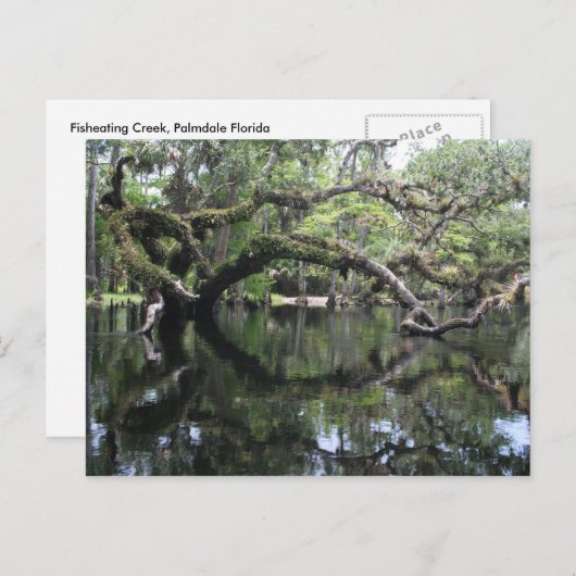 Carte postale de crique de Fisheating (Devant / Derrière)