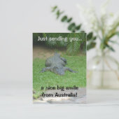 Carte postale de crocodile souriant (Debout devant)