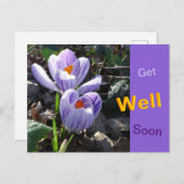 Carte postale de crocus rayés pour un prompt rétab (Devant / Derrière)