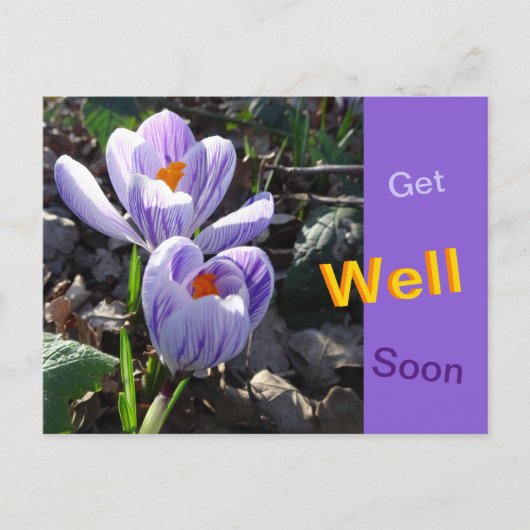 Carte postale de crocus rayés pour un prompt rétab (Devant)