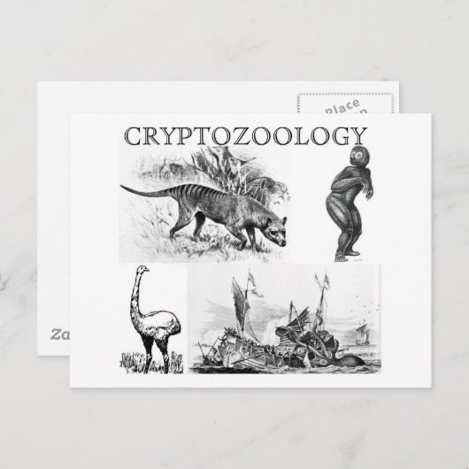 carte postale de cryptozoology (Devant / Derrière)