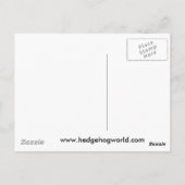 Carte postale de curiosité (Dos)