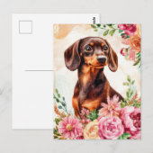 Carte postale de dachshund aquarelle (Devant / Derrière)