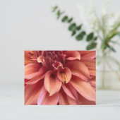 Carte postale de dahlia (Debout devant)