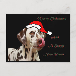 Carte postale de Dalmate de Noël