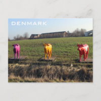 Carte postale de Danemark Vaches Colorées !