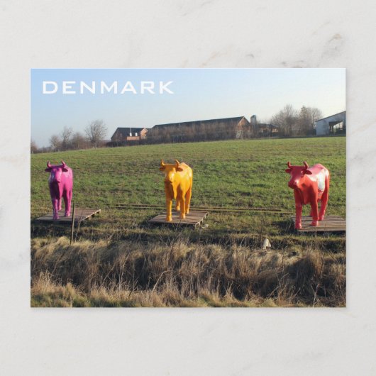 Carte postale de Danemark Vaches Colorées ! (Devant)