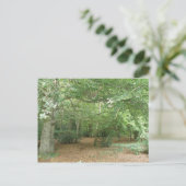 Carte postale de défrichement des bois (Debout devant)