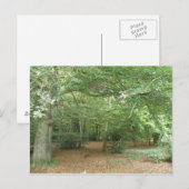 Carte postale de défrichement des bois (Devant / Derrière)