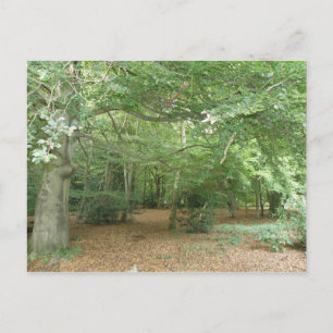 Carte postale de défrichement des bois