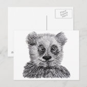 Carte postale de dessin de panda (Devant / Derrière)