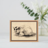 Carte postale de dessin d'encre japonaise de chat (Debout devant)