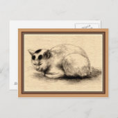 Carte postale de dessin d'encre japonaise de chat (Devant / Derrière)