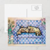 Carte postale de deux chats tabby endormis (Devant / Derrière)