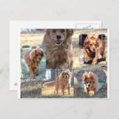 carte postale de dinah (Devant / Derrière)