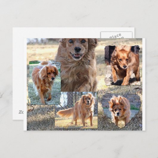 carte postale de dinah (Devant / Derrière)