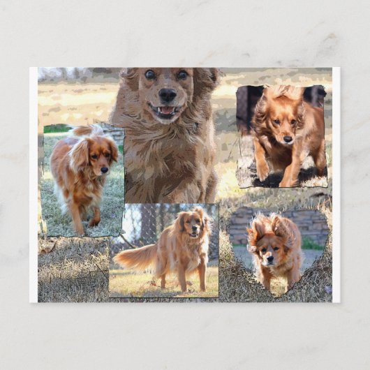 carte postale de dinah (Devant)