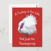 Carte postale de dinde de Thanksgiving végane (Devant / Derrière)