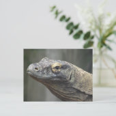 Carte postale de dragon de Komodo (Debout devant)